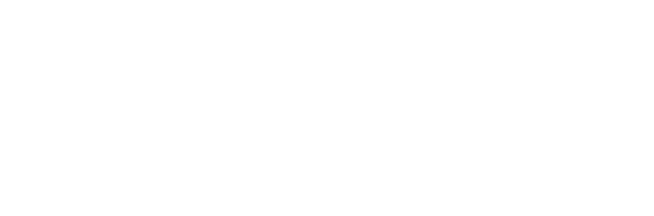 logo dataiku